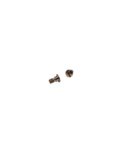 Gucci 114-2 Strap to Case Rose Gold Coloured Screw (1pc)