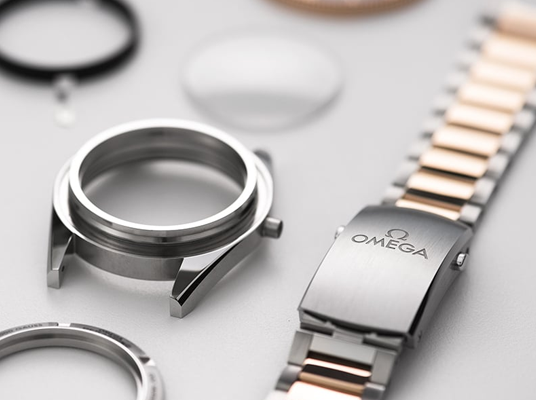 Omega planet ocean service cost top